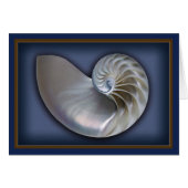 Nautilus Shell horizontal 2 (Front Horizontal)