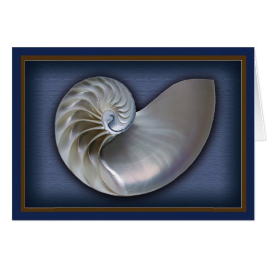 Nautilus Shell horizontal Cards (Front Horizontal)