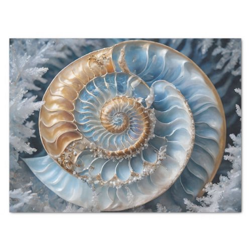 Nautilus Shell Inside Decoupage Tissue Paper