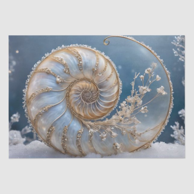 Nautilus Shell Inside Decoupage Tissue Paper (Front)