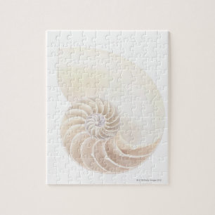 Nautilus Shell Jigsaw Puzzle