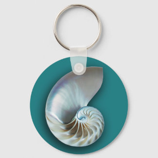 Nautilus Shell Key Chain