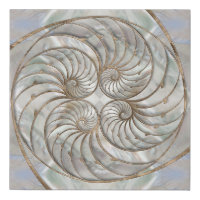 Nautilus Shell - Mother of Pearl and gold