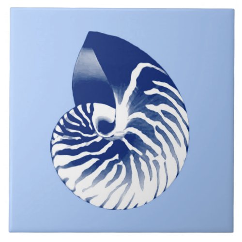 Nautilus shell _ navy white  light blue ceramic tile