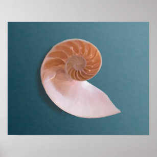 Nautilus Shell Art Wall Decor Zazzle