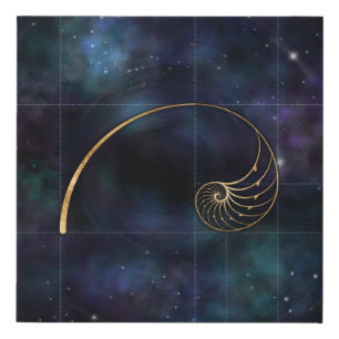 Nautilus Shell - Sacred Geometry Faux Canvas Print