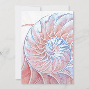 nautilus shell seashell Fibonacci swirl pink Thank You Card