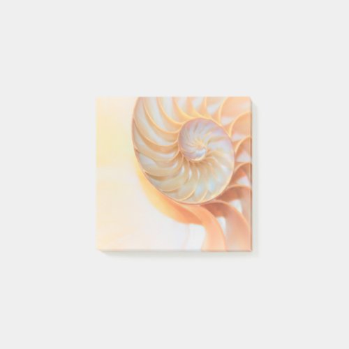 nautilus shell seashell Fibonacci swirl  Post_it Notes