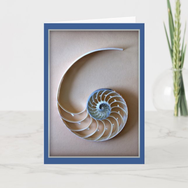 Nautilus Shell Section Card (Front)