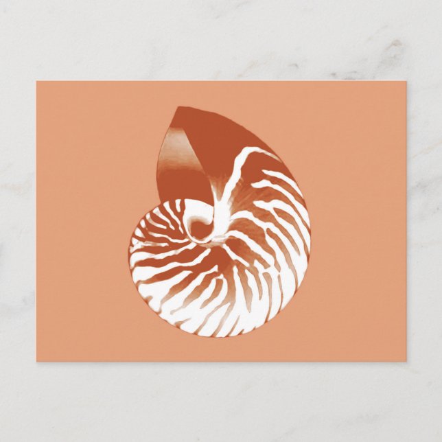 Nautilus shell - terracotta and white postcard (Front)