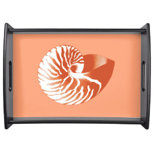 Nautilus shell - terracotta and white serving tray