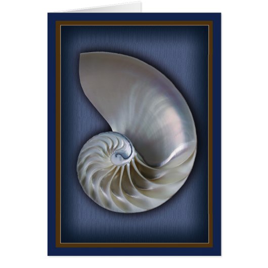 Nautilus Shell Vertical 2 Cards (Front)