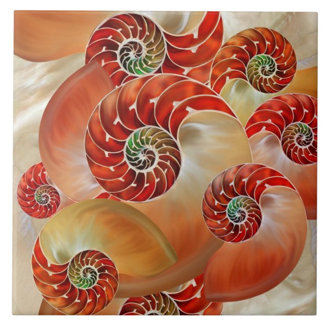 Nautilus Shells Ceramic Tile (Front)