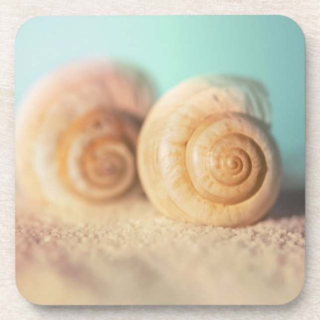 Nautilus Shells On Beach Coaster (Front)