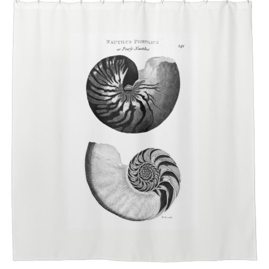 Nautilus Shower Curtain Zazzle Com