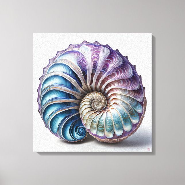 Nautilus - Wrapped Canvas Art Print (Front)