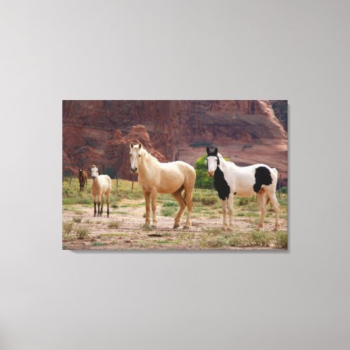 Navajo Horses Run Free on the Canyon Floor Canvas Print