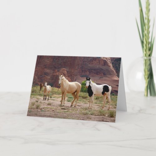 Navajo Horses Run Free on the Canyon Floor Card