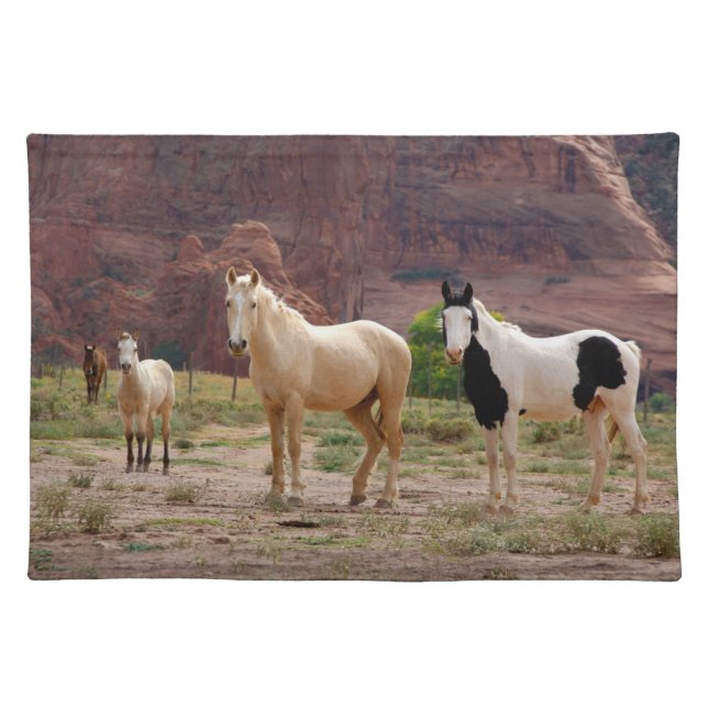 Navajo Horses Run Free on the Canyon Floor Cloth Placemat (Front)