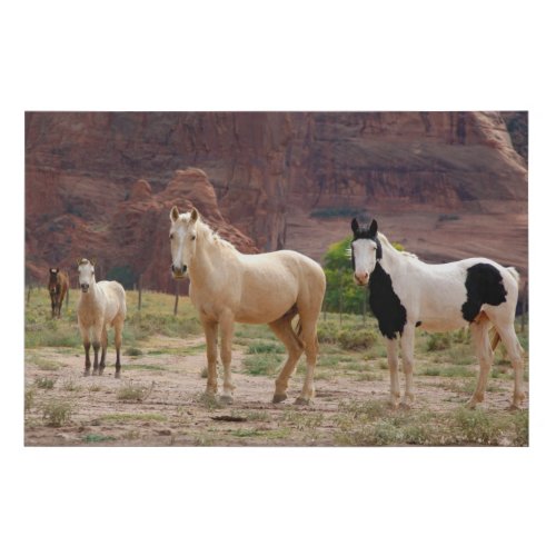 Navajo Horses Run Free on the Canyon Floor Faux Canvas Print