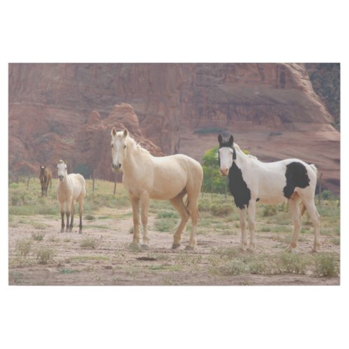 Navajo Horses Run Free on the Canyon Floor Gallery Wrap
