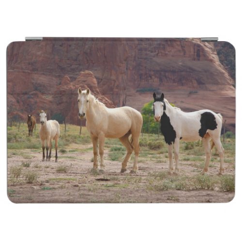 Navajo Horses Run Free on the Canyon Floor iPad Air Cover