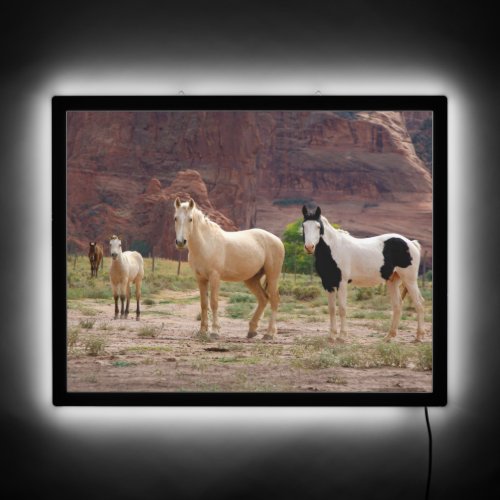 Navajo Horses Run Free on the Canyon Floor LED Sign