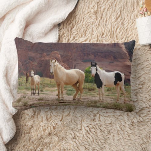 Navajo Horses Run Free on the Canyon Floor Lumbar Pillow