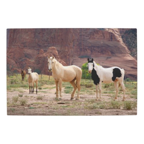 Navajo Horses Run Free on the Canyon Floor Metal Print