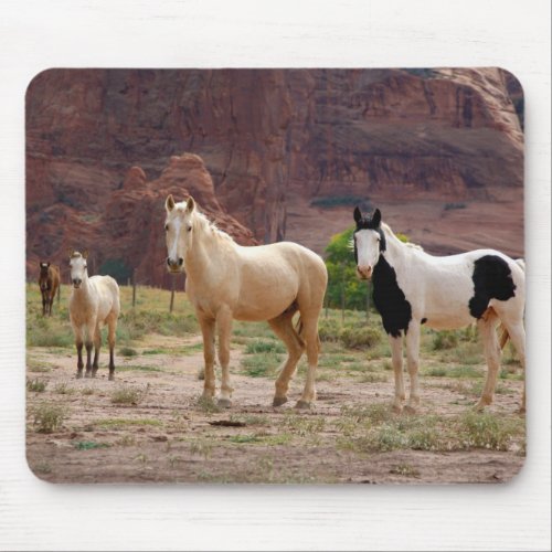 Navajo Horses Run Free on the Canyon Floor Mouse Pad