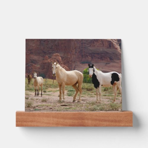 Navajo Horses Run Free on the Canyon Floor Picture Ledge
