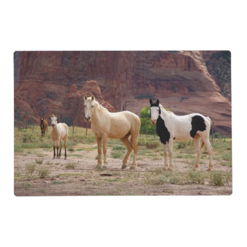 Navajo Horses Run Free on the Canyon Floor Placemat