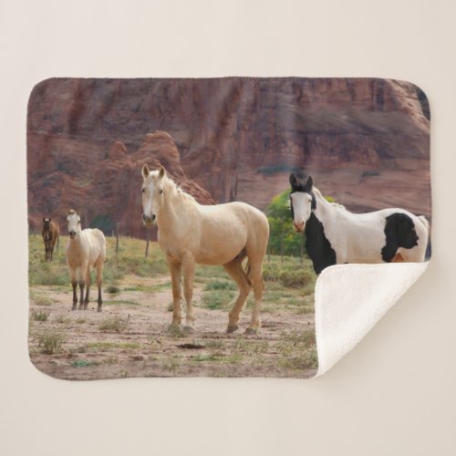 Navajo Horses Run Free on the Canyon Floor Sherpa Blanket