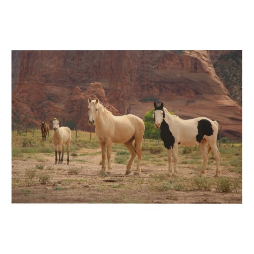 Navajo Horses Run Free on the Canyon Floor Wood Wall Art
