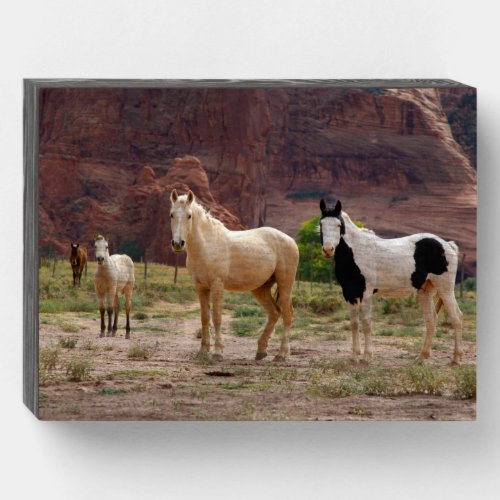 Navajo Horses Run Free on the Canyon Floor Wooden Box Sign