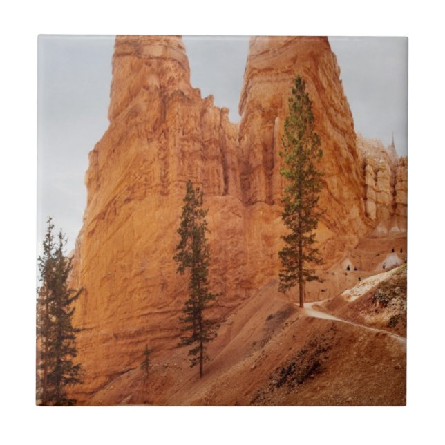 Navajo Loop Trail, Bryce Canyon Tile (Front)
