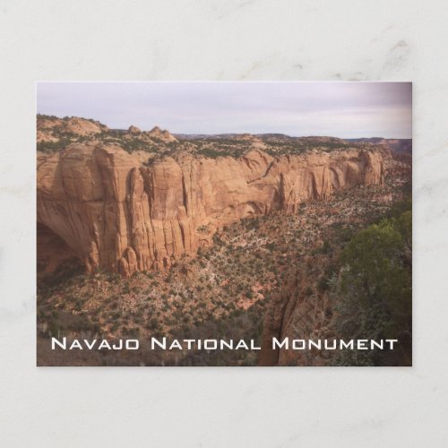 Navajo National Monument Postcard