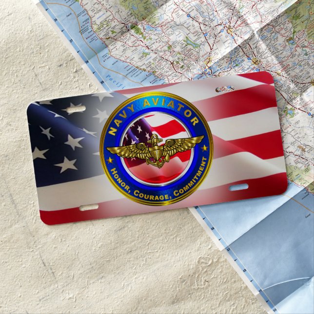 Navy Aviator License Plate (In Situ)