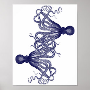 Navy Blue Giant Octopus Poster