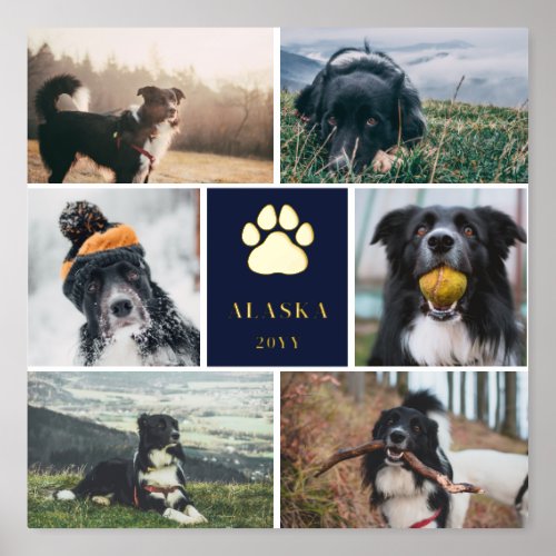 Navy Blue Golden Paw Print 6 Photo Collage Dog