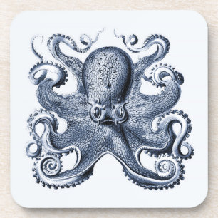 Navy Blue Octopus illustration by Ernst Haeckel Beverage Coaster
