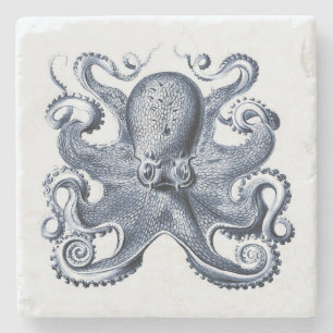 Navy Blue Octopus illustration by Ernst Haeckel Stone Coaster