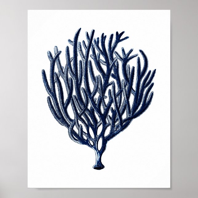 Navy Blue Sea Coral Beach Wall Decor (Front)