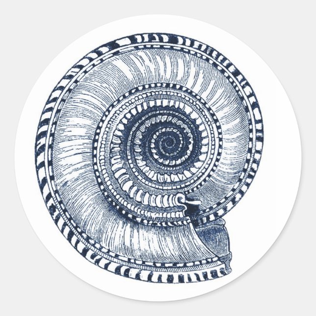 Navy Blue Sea Shell Sticker (Front)