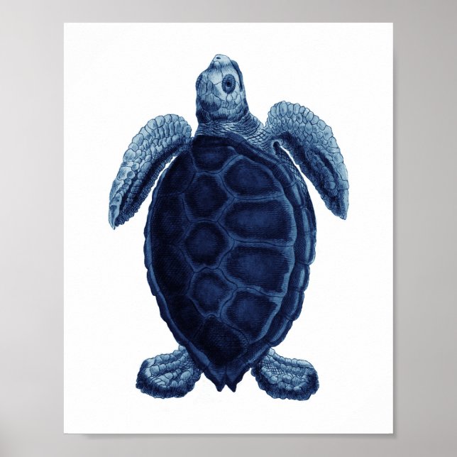 Navy Blue Sea Turtle Beach Bathroom Decor (Front)