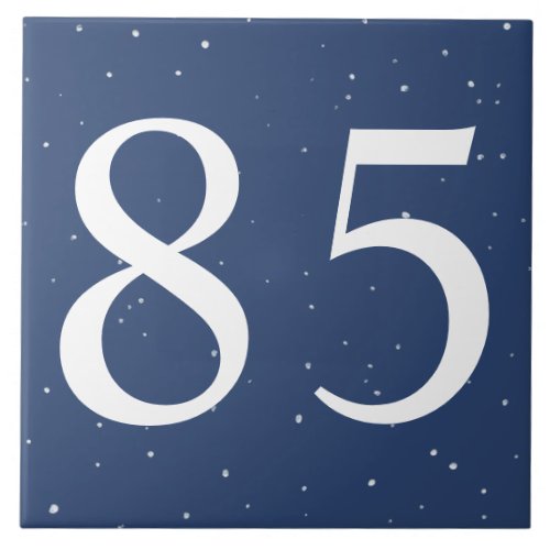 Navy Blue Star Starry Night Two Number House  Ceramic Tile