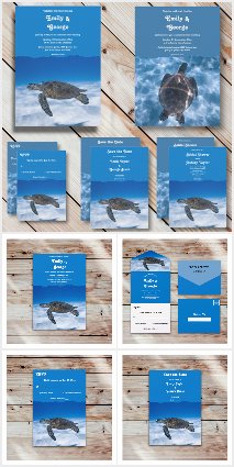 Navy Nautical Underwater Aquatic Turtle Collection
