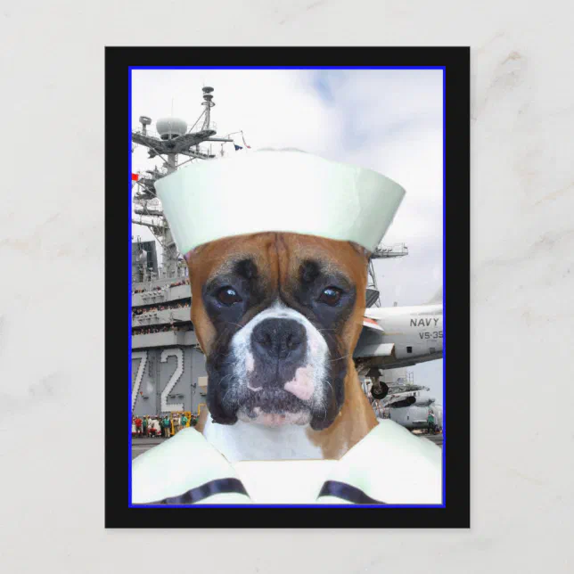 Navy Sailor Boxer Dog  Postcard (Front)