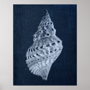 Navy Seashells Print no. 1 Beach Decor Wall Art