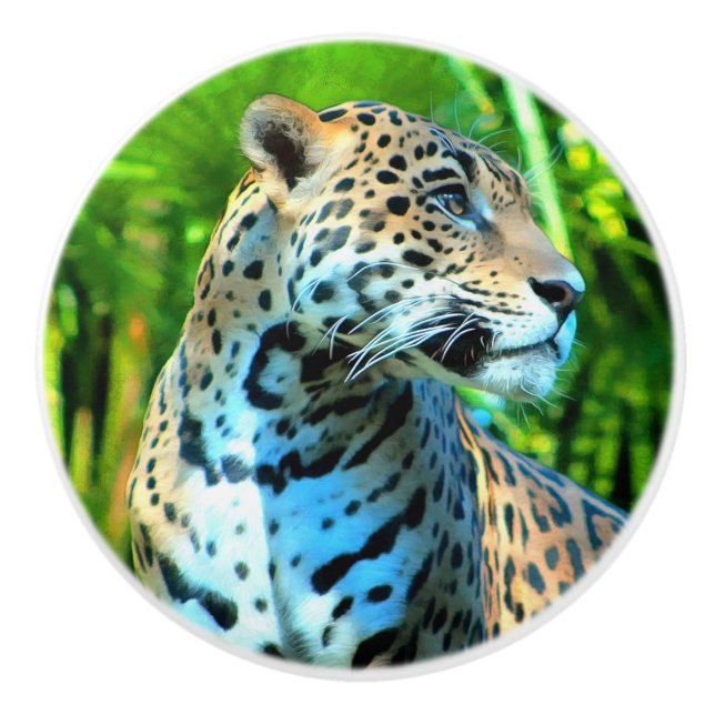 Nayla the Jaguar Ceramic Knob (Front)